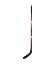 Load image into Gallery viewer, Warrior RISE Junior Hockey Stick
